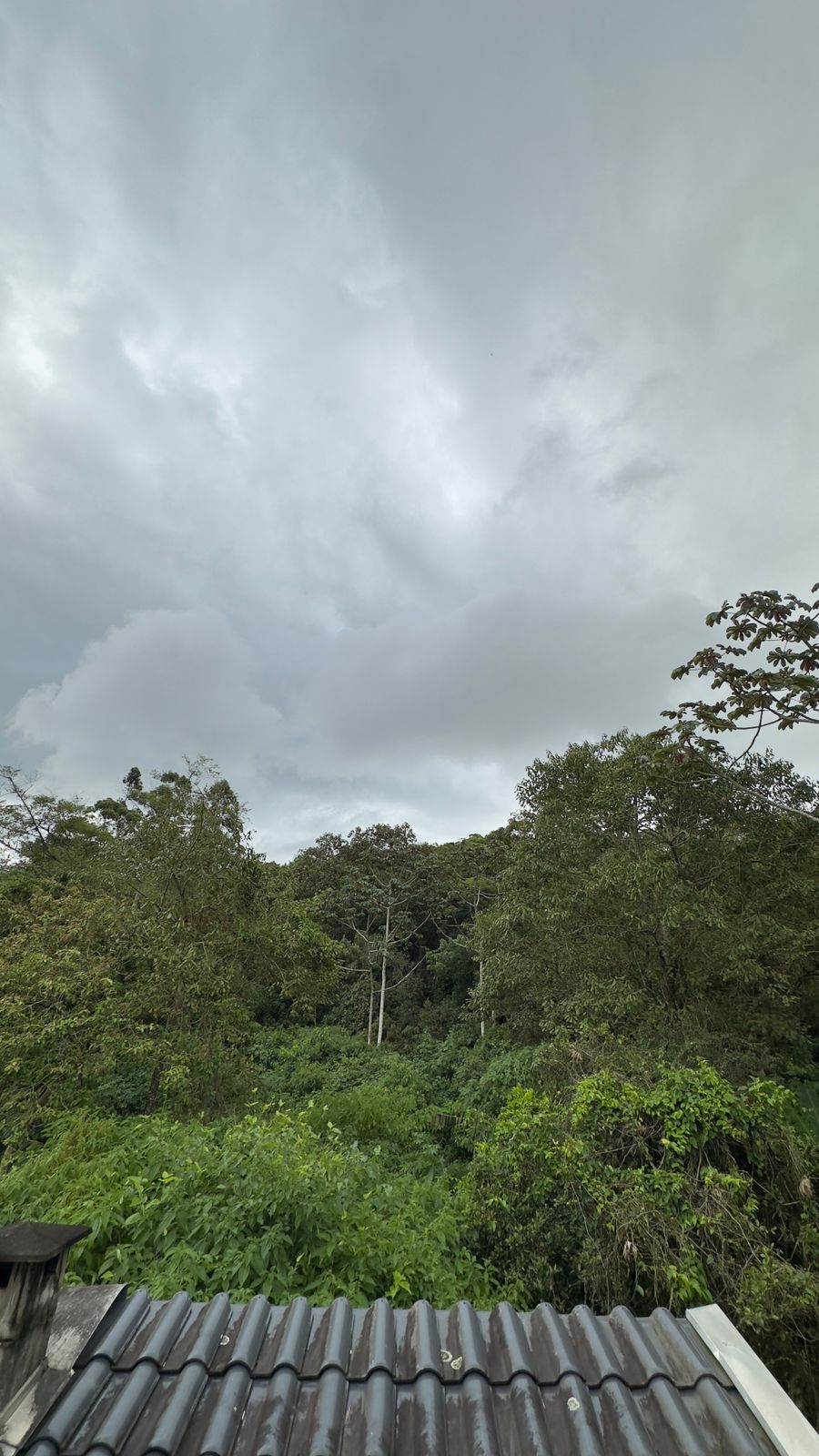 WhatsApp Image 2025-11-03 at 19.38.45 (3)